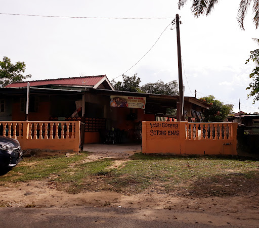 Nasi Goreng Sotong Emas